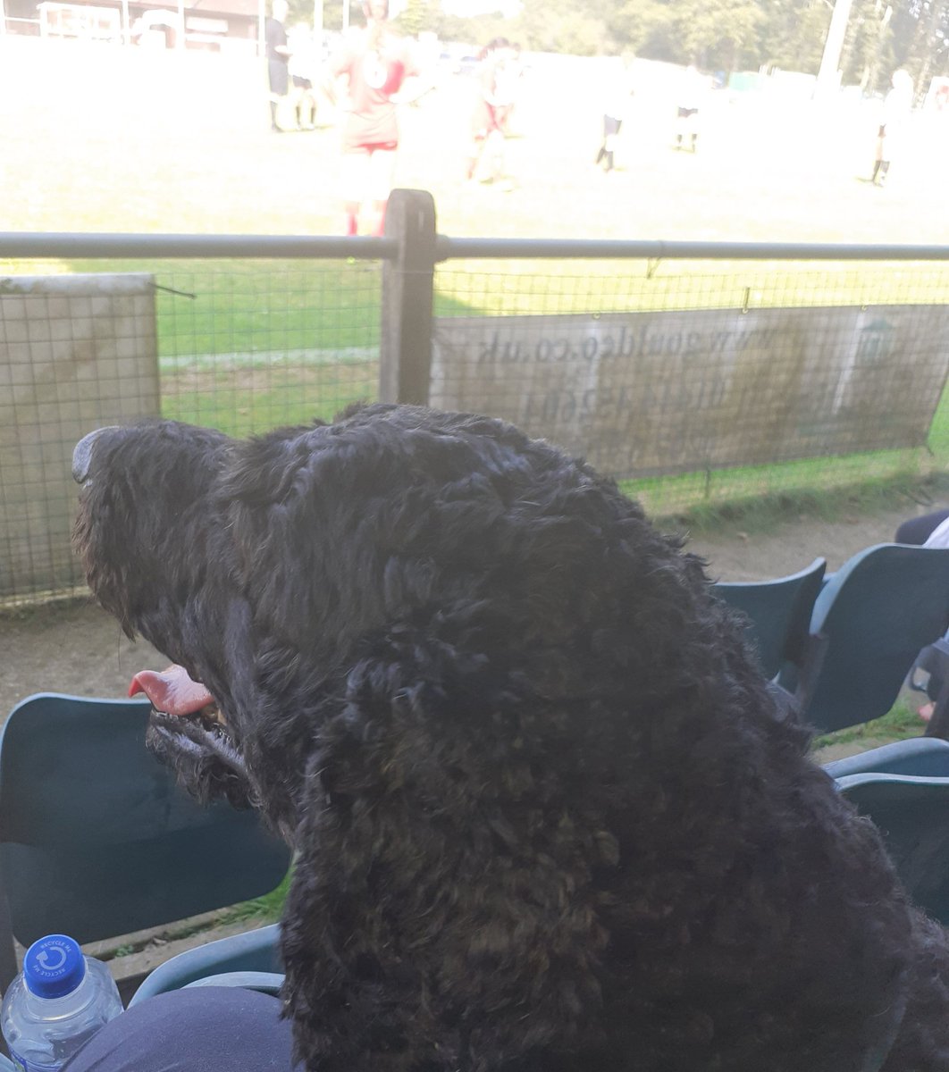 So CookBoys trip to the lovely home of <a href="/hassocksfc/">Hassocks FC</a>, which wasn't originally planned saw a great Women's FA Cup 1st Qual Rnd tie in which visitors <a href="/AbbeyRangersLFC/">Abbey Rangers Ladies FC</a> edged out the home team by 3-2. CookBoy came up for air during the water break before continuing with his siesta.
