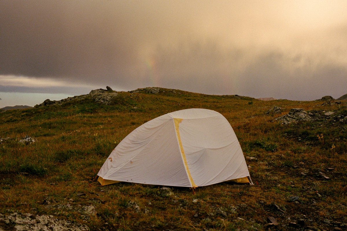 Portra Papi tweet media