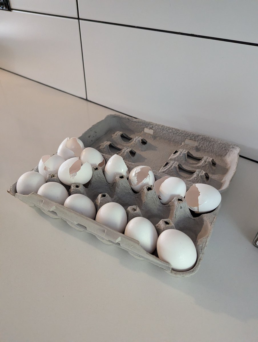 fowl damage appropriate brekkies for the crew