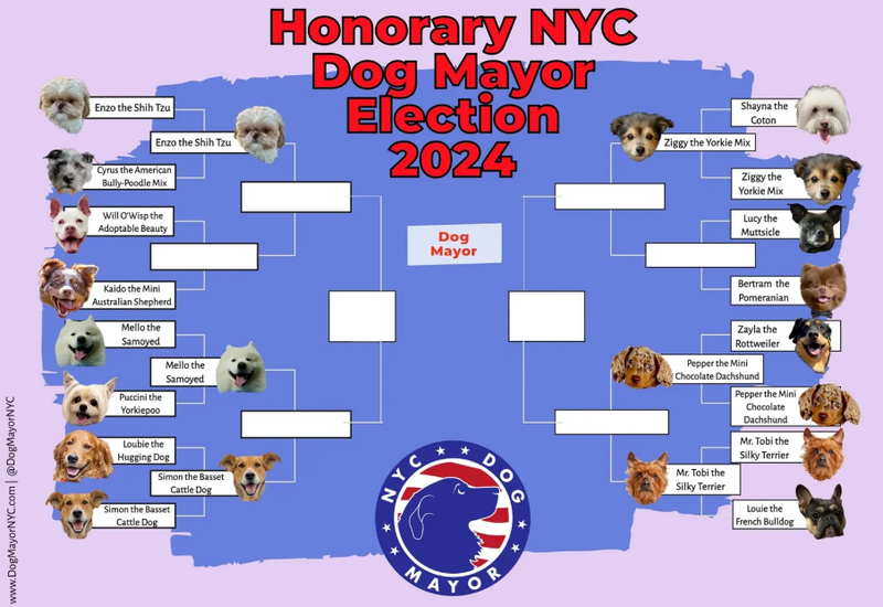 1010 WINS on 92.3 FM (@1010wins) on Twitter photo 🗳️ Canine-didates vying for Honorary Dog Mayor of NYC to rally in City Hall Park 🐶🐾 <a href="/susanrichard/">Susan Richard</a> <a href="/DogMayorNYC/">Honorary New York City Dog Mayor</a> #DogMayorNYC bit.ly/47c6UJz 🗳️ Canine-didates vying for Honorary Dog Mayor of NYC to rally in City Hall Park 🐶🐾 <a href="/susanrichard/">Susan Richard</a> <a href="/DogMayorNYC/">Honorary New York City Dog Mayor</a> #DogMayorNYC bit.ly/47c6UJz