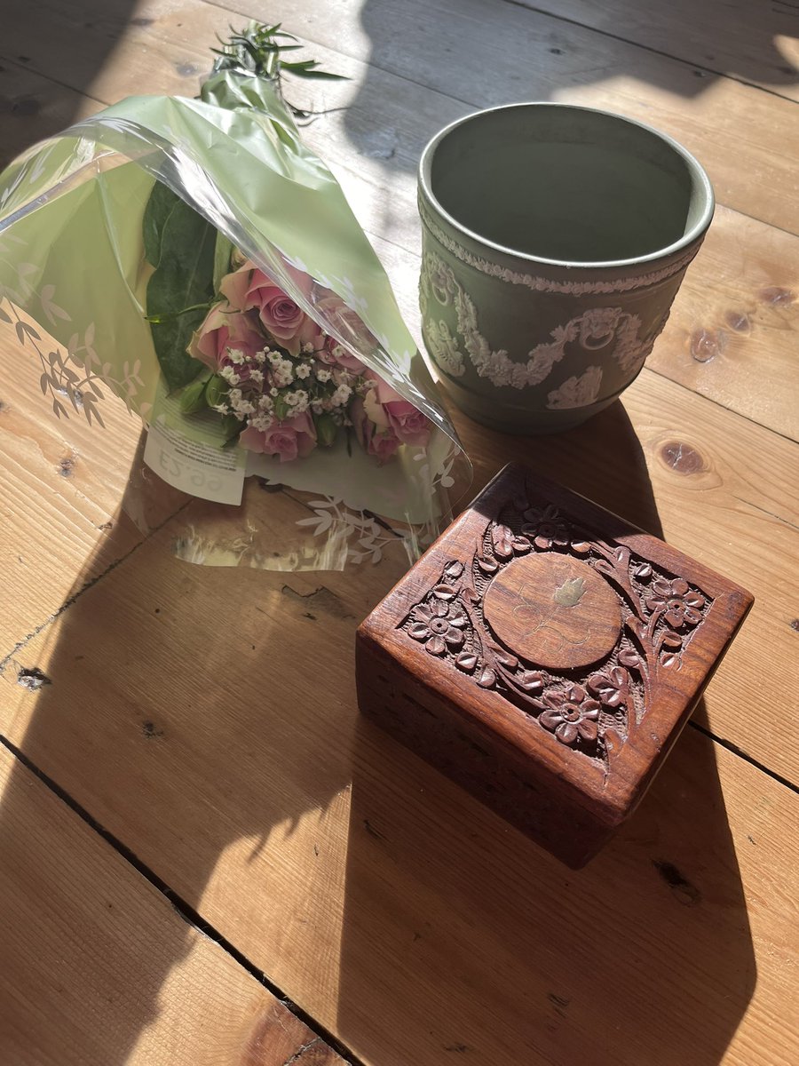 caladenia (10/52) tweet media