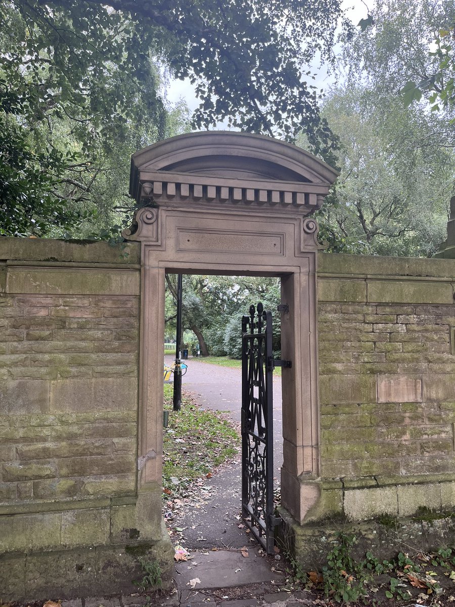 caladenia (10/52) tweet media