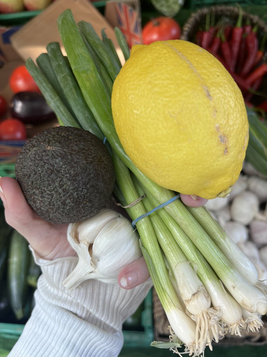 caladenia (10/52) tweet media