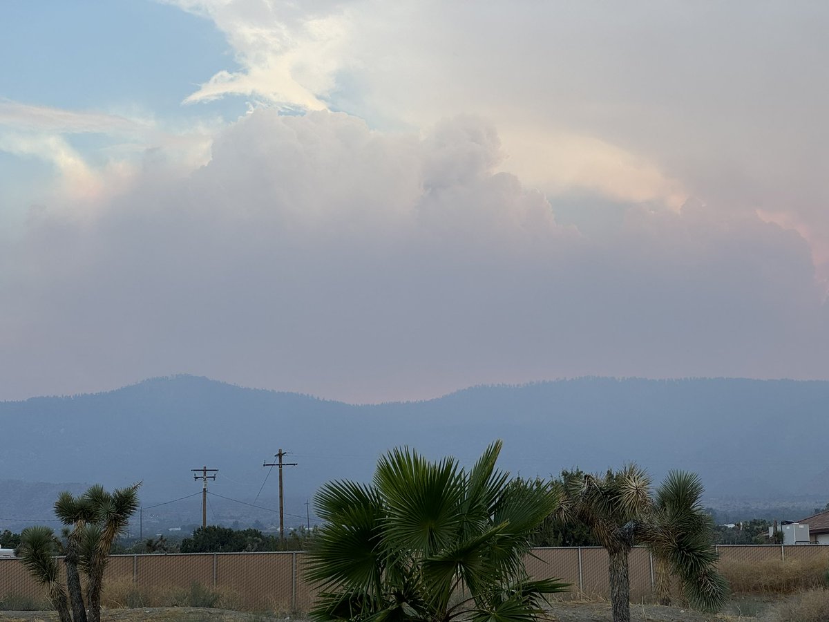 _JimEmery's tweet photo. 15 minutes later… smoke has taken over here and is very strong in #PinonHills #bridgefire https://t.co/sKAiCPHV7s