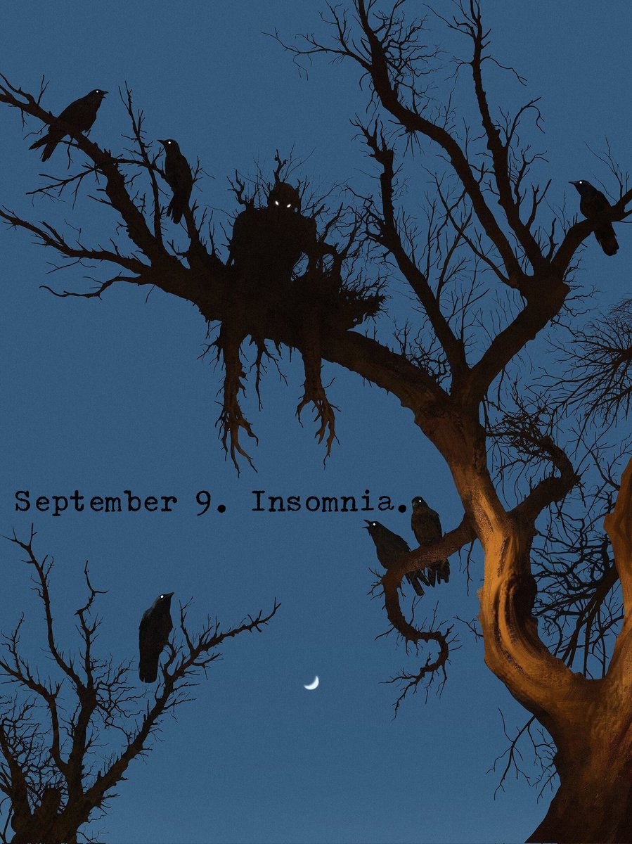 soli (@solisolsoli) on Twitter photo 