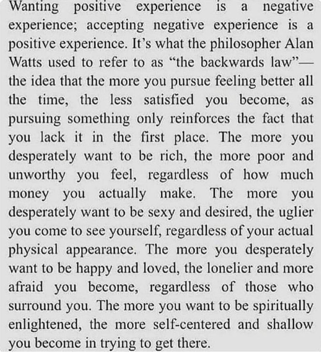 seniorita awesome tweet media