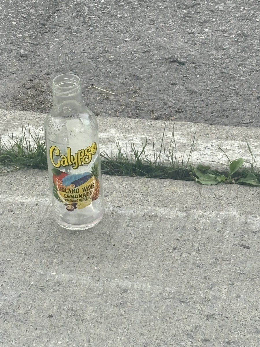 its owner abandoned it :(