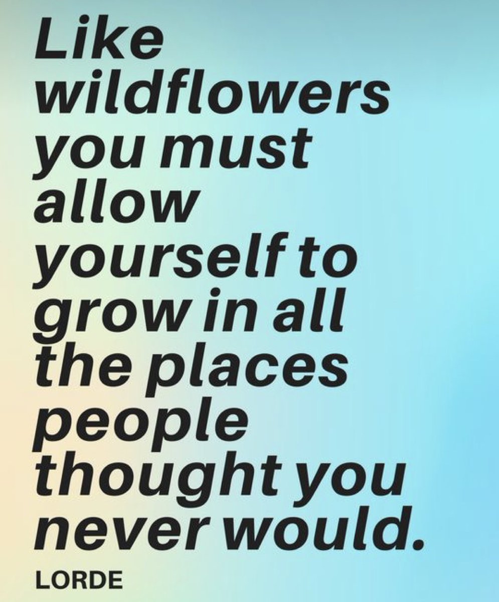 Charlotte Sykes tweet media