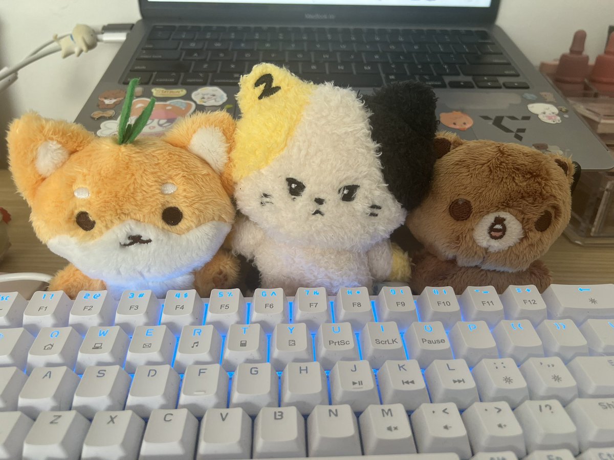 zb1note's tweet image. good evening friends!!!! here r my study buddies this evening while i get assignments done :3 have a good sunday everyone!!!