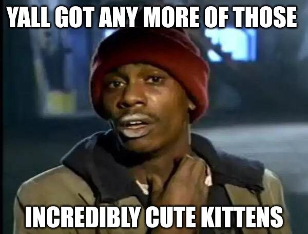 deskr's tweet image. Dear Followers, 

Please drop pictures of your adorable pets below, it's for a special project and I totally don't just want animal dopamine this Sunday afternoon.

Sincerely, 
Deskr Social Media Guy xx