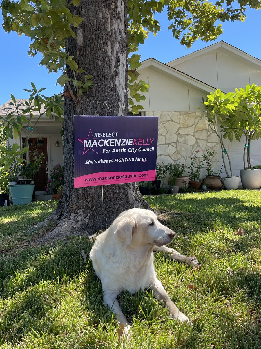 crutonpie's tweet photo. @MK6ATX
…looks like my baby approves! https://t.co/S0oou5AF8G