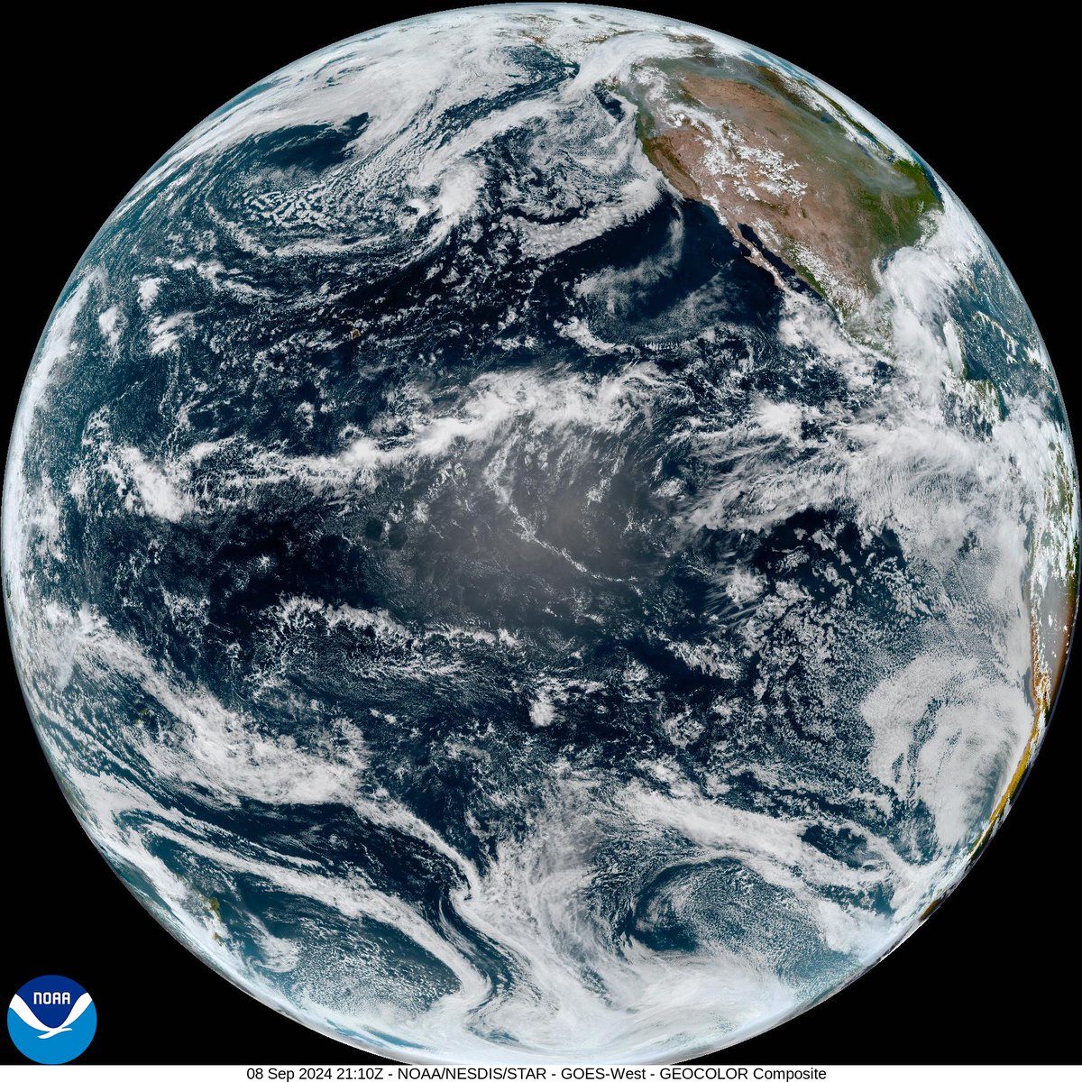 Earth Selfie Bot tweet media