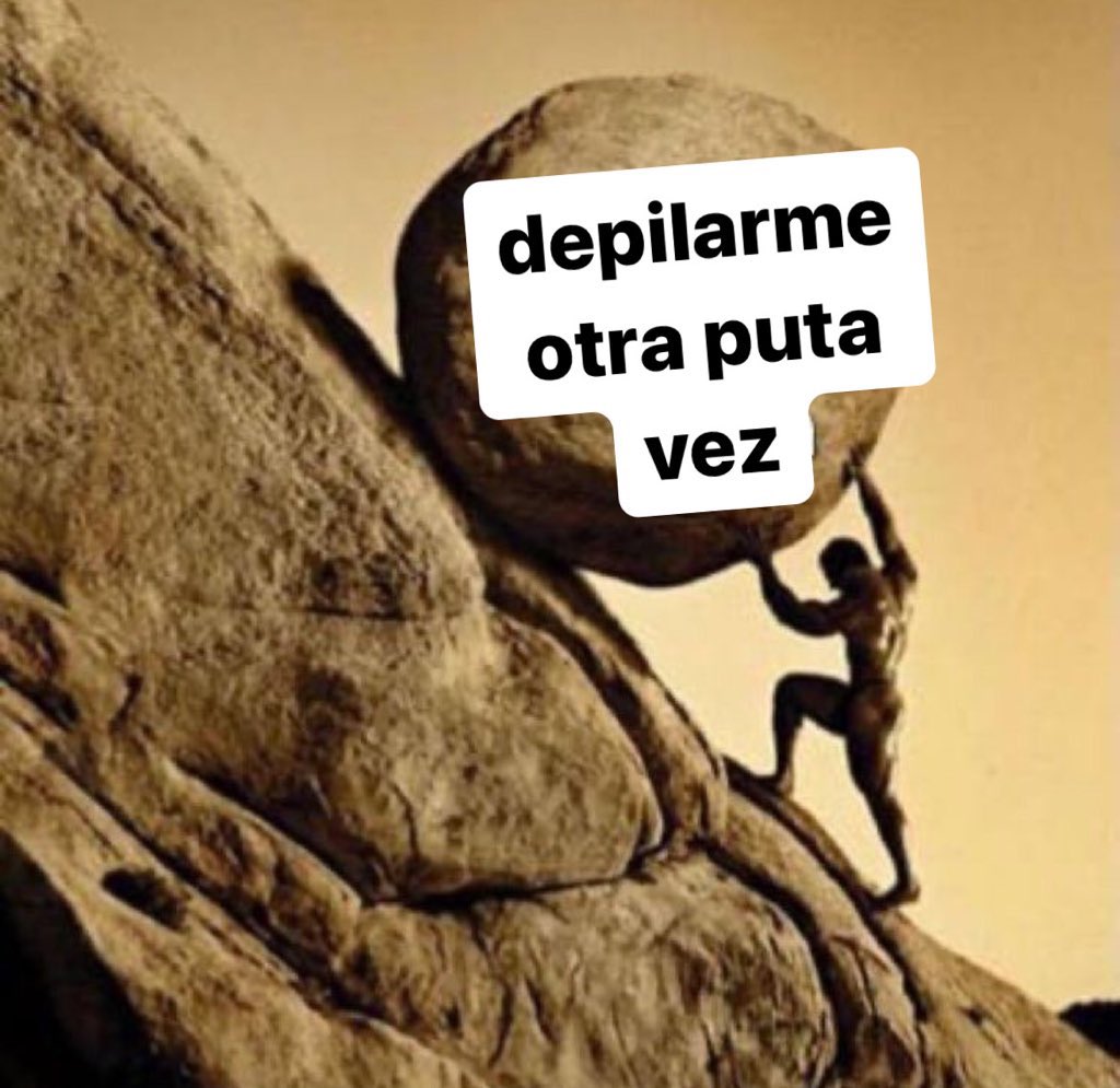 hoy