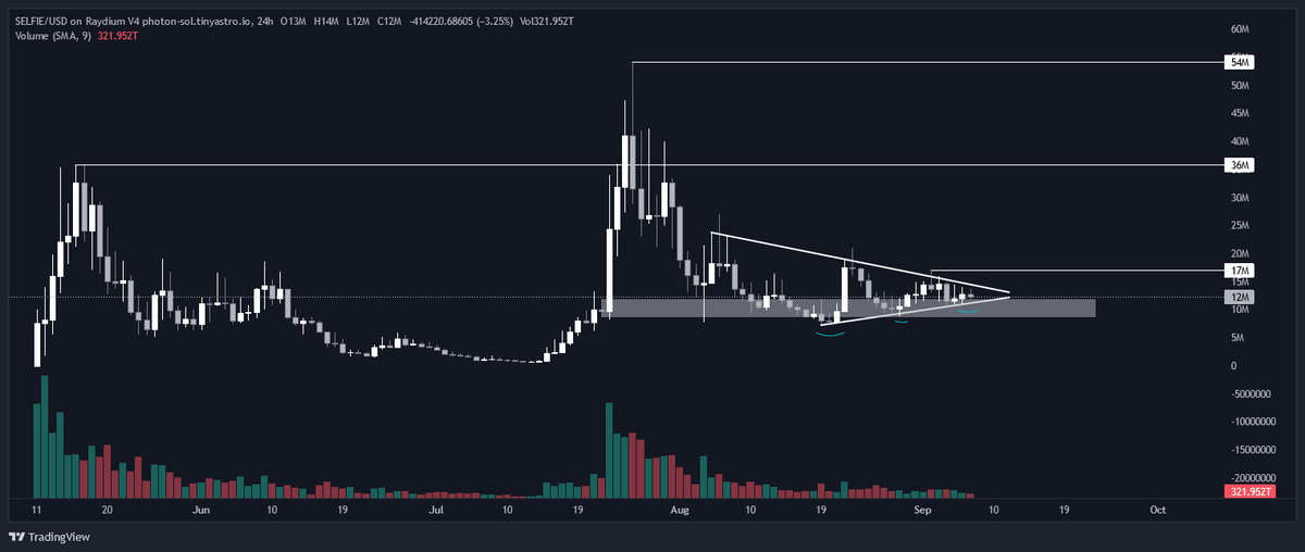 My_Nigma's tweet photo. $SELFIE chart setting up nicely

We've seen an 85% pullback from ATH and now forming higher lows on the HTF Daily 🤌

Volume on the way down but price and holders moving up steadily. Anticipating a breakout of this triangle. 

A push above $17M would be another bullish trigger for me. 

Will be interested to see what the community voice is like and how active they are for their beloved dog🐶🤳

 @SelfieDogSOL