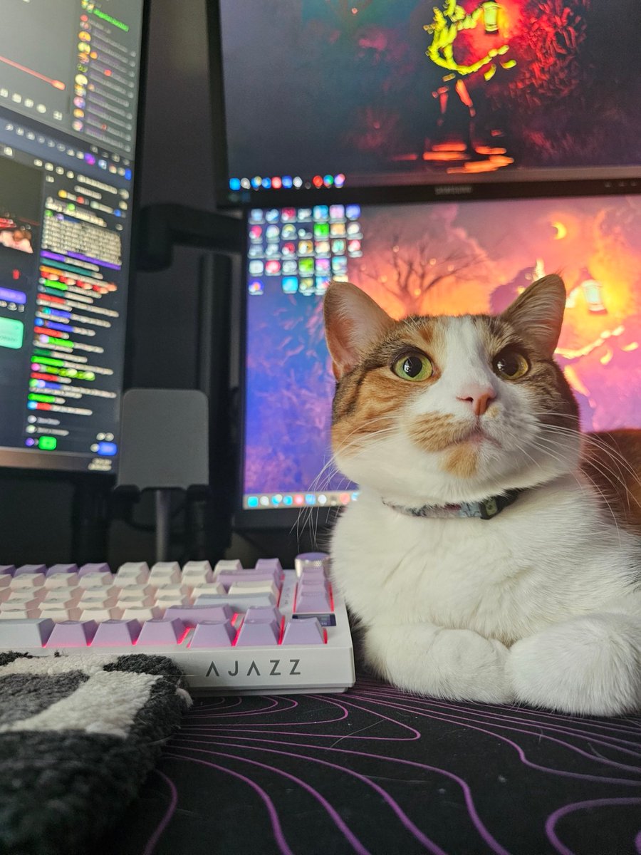 iSageSen tweet media