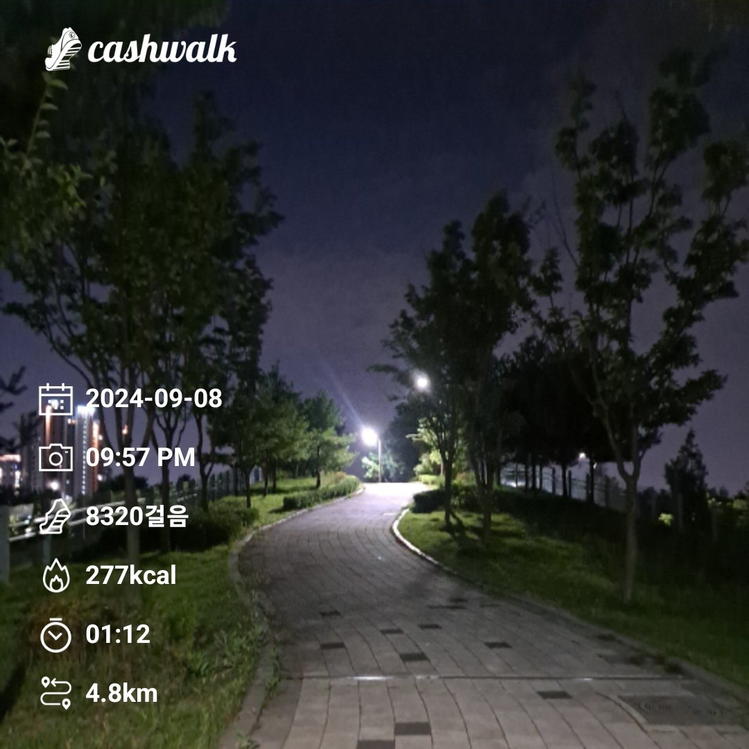 seethrough1b's tweet image. #bugcity
#bugpoly
#gm
@Bug4city
2024년  8,000보