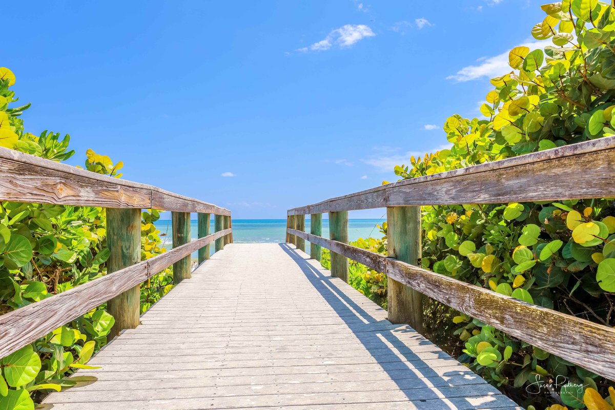 SusanRydberg's tweet photo. Vero Beach Day
https://t.co/VrYkGZLkSx
#FloridaViews
#VeroBeach
#CoastalVibes
#BoardwalkBeauty
#NatureEscape
#SereneScenery
#OceanPathway
#TropicalParadise
#RusticBoardwalk
#BeachWalkway
#GreenFoliage
#SunnyDayVibes
#OceanDreaming
#NaturePhotography
#FloridaBeaches
#TranquilWaters
#TropicalNature
#SeasideSerenity
#OceanLovers
#ScenicWalks
#BeachPath
#ExploreFlorida
#SunnyEscape
#NaturePerfection
#CoastalLiving
#FloridaLandscapes
#BeachVibes