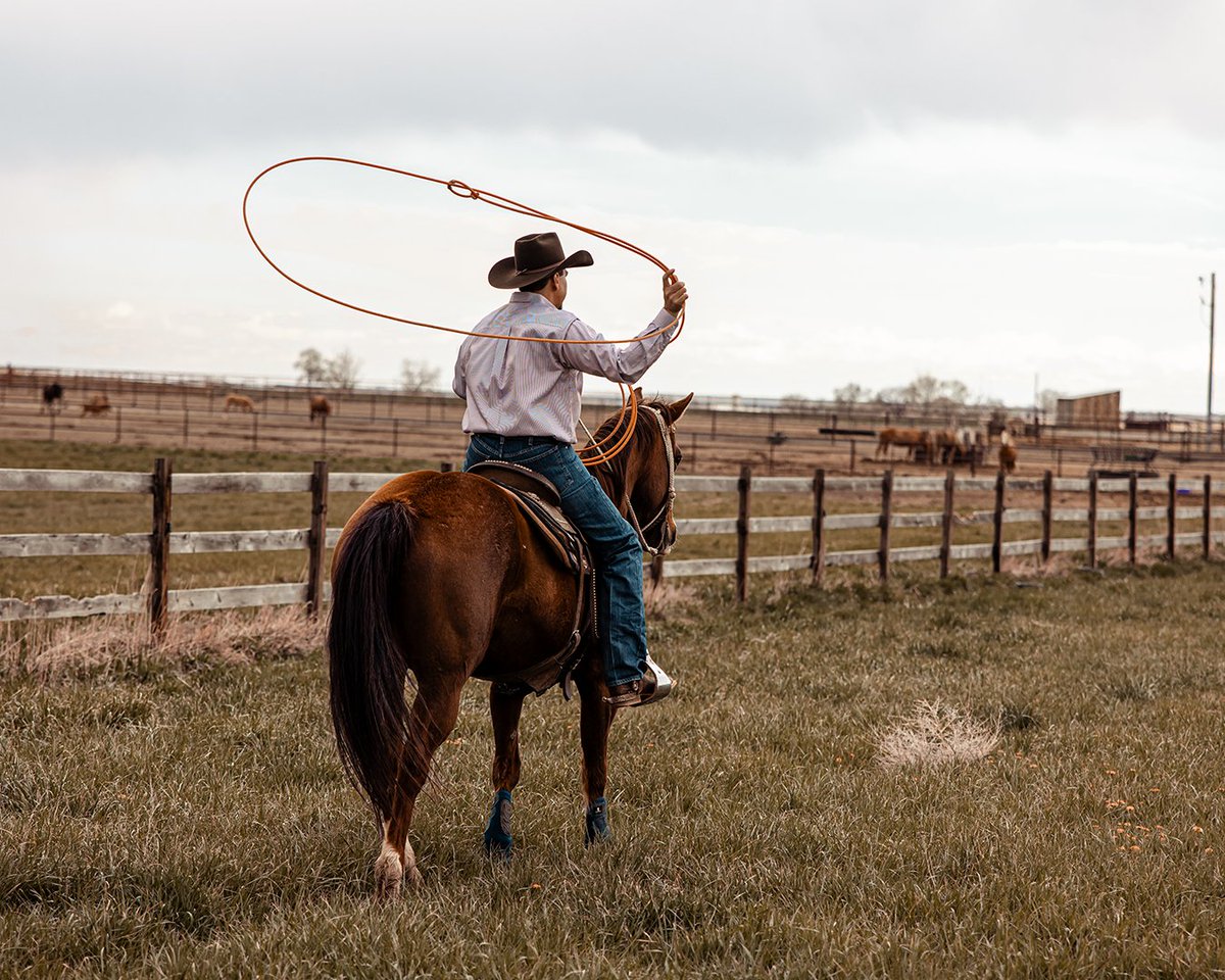 DurangoBoots's tweet photo. Perform at your best with Durango® Rebel Pro™, cowboy boots that offer comfort, safety, and style for the saddle and beyond.
#cowboyboots #rebelpro #durangoboots https://t.co/Jd8lW3JQrr