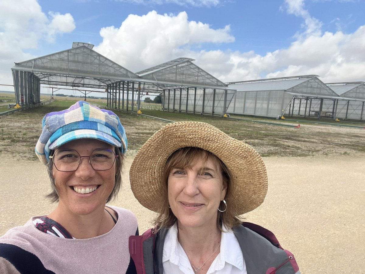 Fernanda Dreccer tweet media