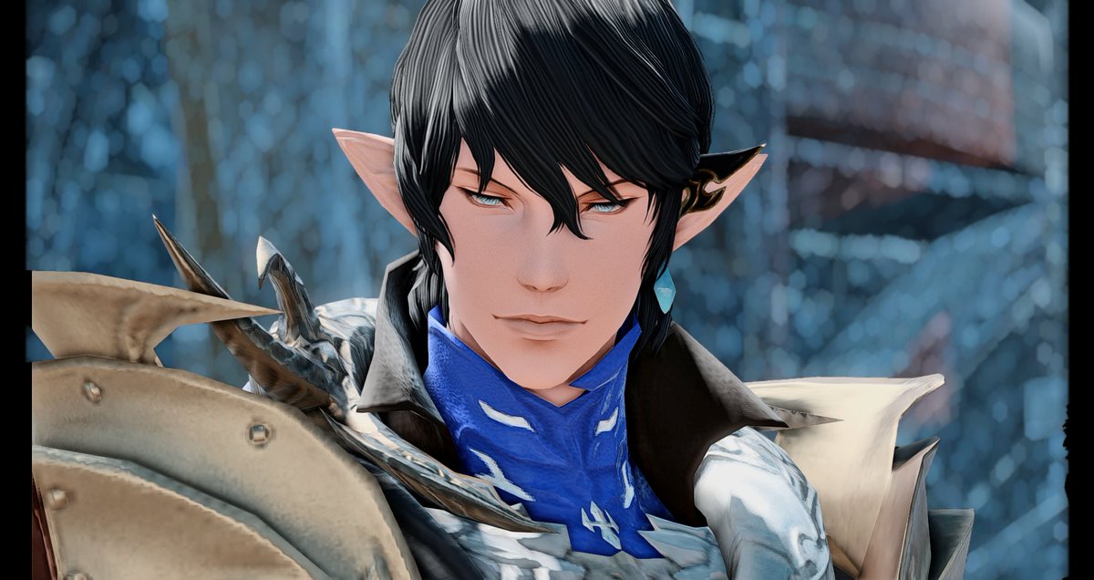 Aymeric De Borel
~
Lord Commander