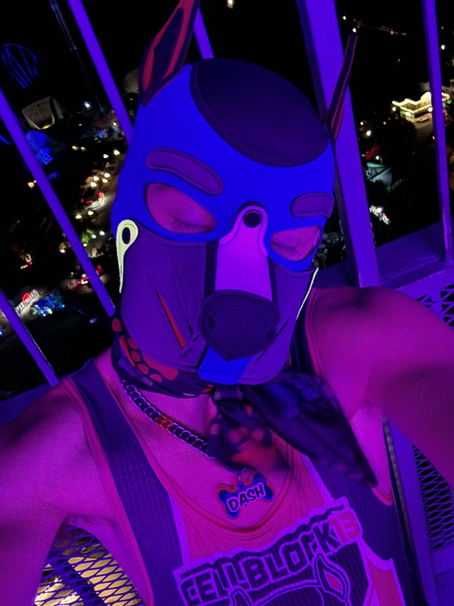 pupper_dash's tweet image. No doubt I have been MIA for a while but I’m finally feeling like myself again and happier than ever