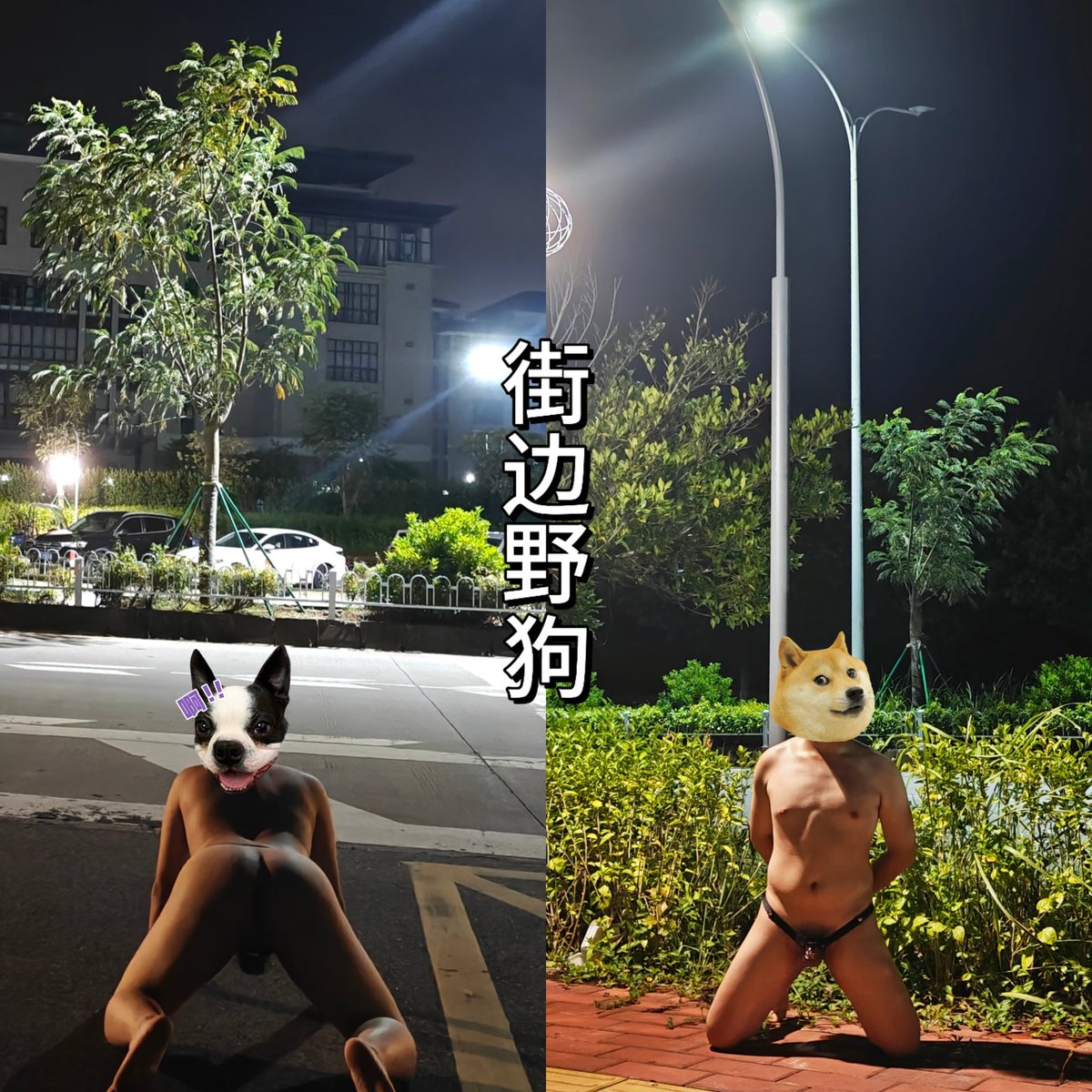 。 tweet media