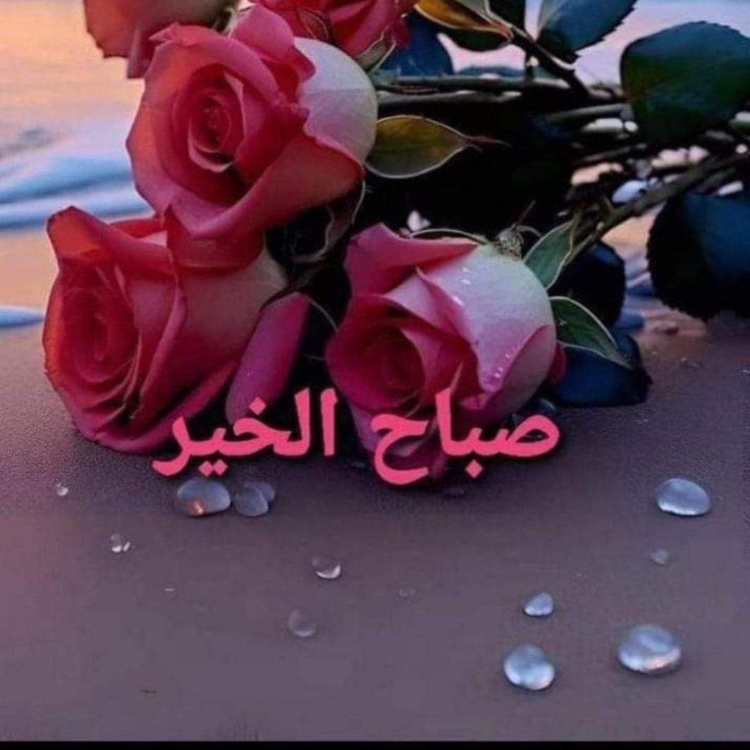 <a href="/m20younas/">Muhammad Younas</a> <a href="/Alaayous3/">alaa amy</a> <a href="/Gigi46830095/">ا. i1iitالخاص ممنوعGiGi</a> <a href="/gazaaal66/">نـــوف الخـــلاوي</a> <a href="/GinaJardines/">Cleopatra</a> <a href="/Ozlerntr/">ÖzleⓂ️ 𝕏☪︎#Nika -ོ 🕯️🥶</a> <a href="/eman14061402/">إيمـ♥̨̥̬̩ے</a> <a href="/maha8321553/">🌸maha🌸</a> <a href="/Eileen77777/">Eileen🤍🕊️</a> @hdn_na <a href="/SsaSM7/">🎶سوسو 🎶</a> <a href="/iVelkhana93/">Telegram🙋‍♀ Иверкана Iverkana🇰🇿</a> <a href="/Maya2311S/">مـيــᬼ؁ـوش 🧸🦋</a> <a href="/europe3330/">rgbibz🇪🇺</a> <a href="/Edward733/">ஜ۩ღEdward Simღ۩ஜ 심상갑</a> <a href="/JazmnY6/">Jazmín Y.</a> <a href="/seraichiban3/">伊緒里のセーラー服🇯🇵🍥⏰🦄🌈🇫🇷🍒🌸💫</a> <a href="/Alifa_alGharbi/">أليفة الغربي</a> <a href="/tadayokun73/">🍃🌛EzDo.ONE🚩🍃 ◽◻⬜￤￤🌺</a> <a href="/_DeusaAthenna/">🌿🪷 𝓐𝓽𝓱𝓮𝓷𝓷𝓪 🌿🪷</a> 🌹🍃
FollowUsGains💯