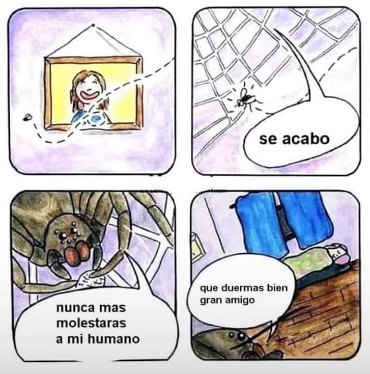 EnsedeCiencia's tweet image. 