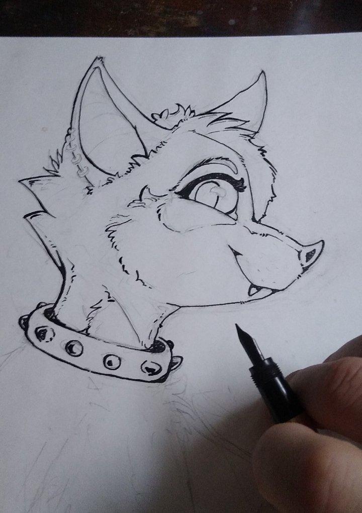 Just inking some things :3

#furries #furryfandom #furryart