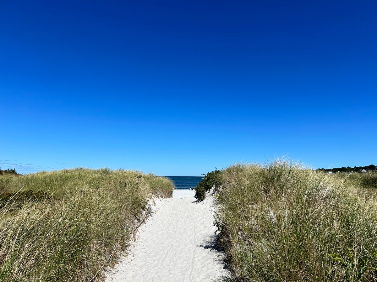 Rachel Levin (Moskowitz) tweet media