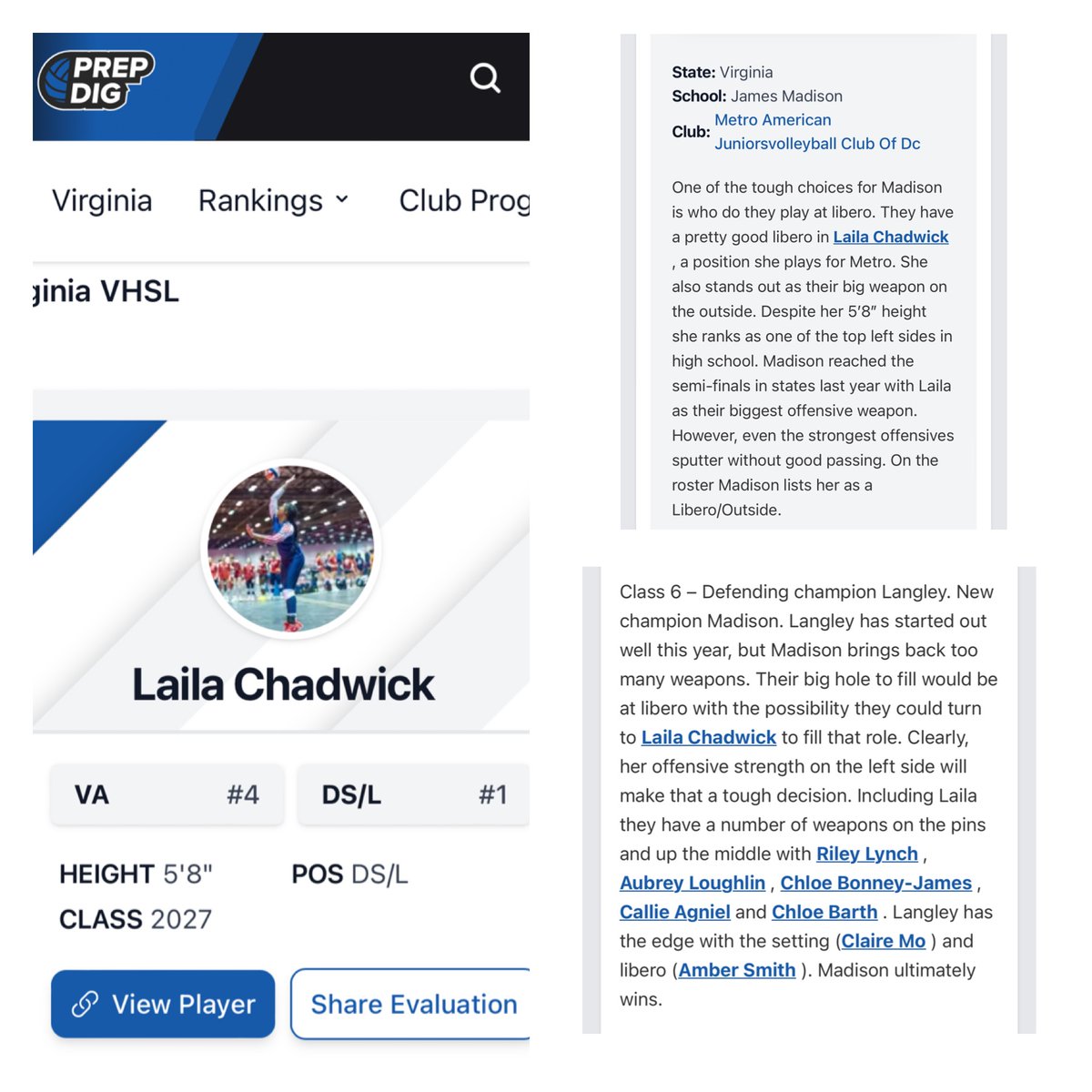 Laila Chadwick tweet media