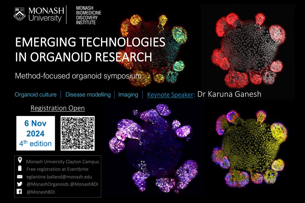 #PhenomicsAustralia’s in vitro node <a href="/MonashOrganoids/">Monash BDI Organoid Program</a> is hosting a free symposium on Emerging Technologies in Organoid Research at <a href="/MonashUni/">Monash University</a>  at Clayton, on 6 November 2024

➡️phenomicsaustralia.org.au/monash-organoi…
Register: eventbrite.com.au/e/emerging-tec…