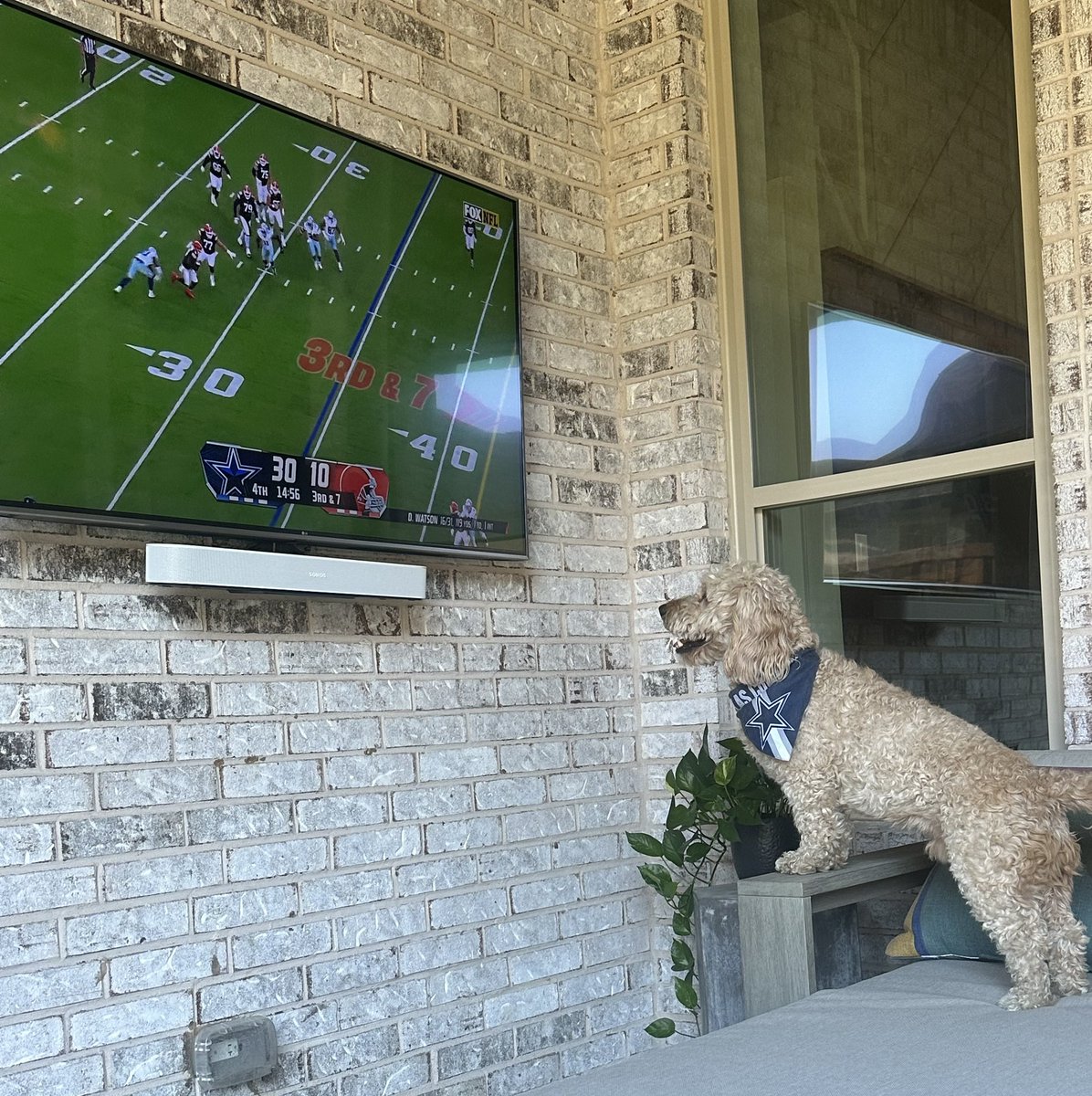 Collonian's tweet photo. @dallascowboys 
Cowboys #1 fan! https://t.co/jp32tbmg1u