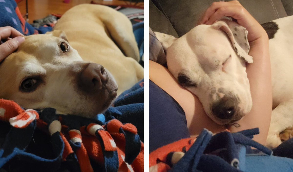 As much as I love going to conferences, it's good to be back with my girls 🥰