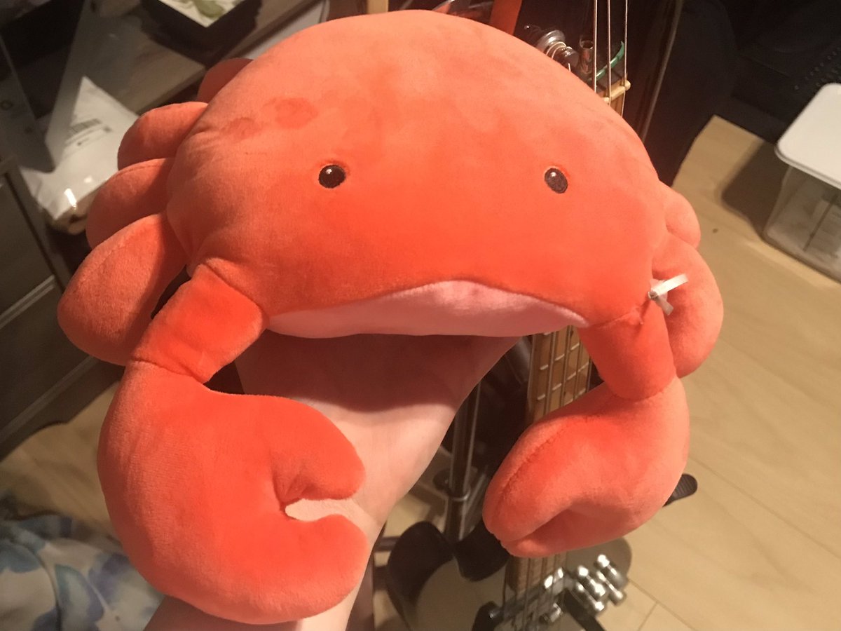 l3pid0ptic_'s tweet photo. OH!!!! i got a crab today!!! https://t.co/GDsjTgFnDL