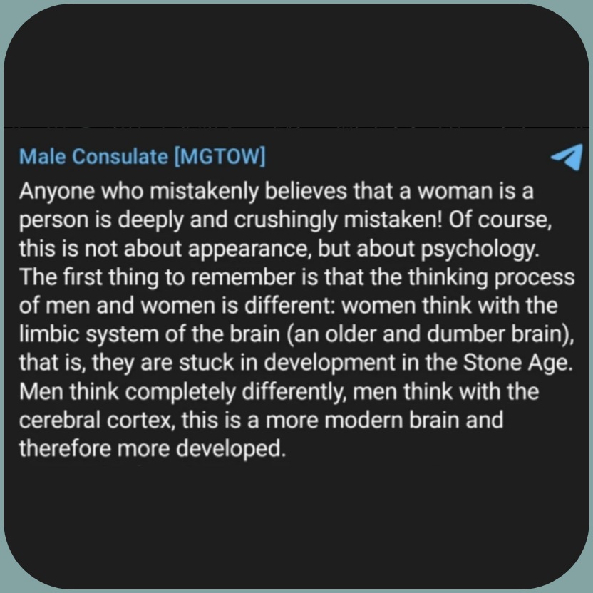 AskAubry 🦋 🐆🦝 tweet media