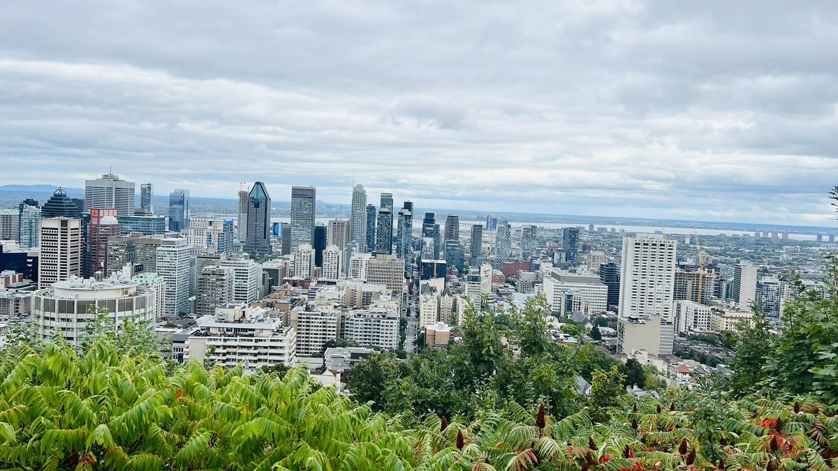Bonjour de Montréal ! #Montréal