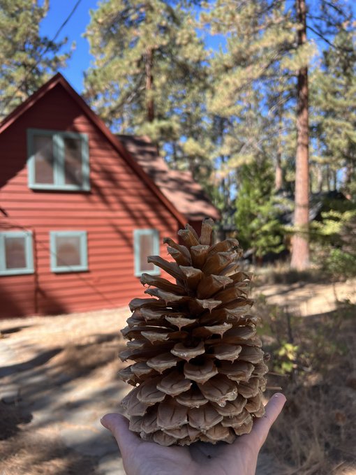 I just had the most epic 5 day trip hanging with an amazing crew in Lake Tahoe, NV. The west coast keeps