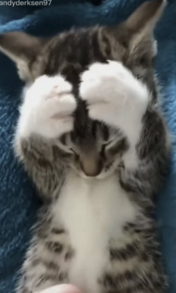 뿌 (@sheepbabu) on Twitter photo 