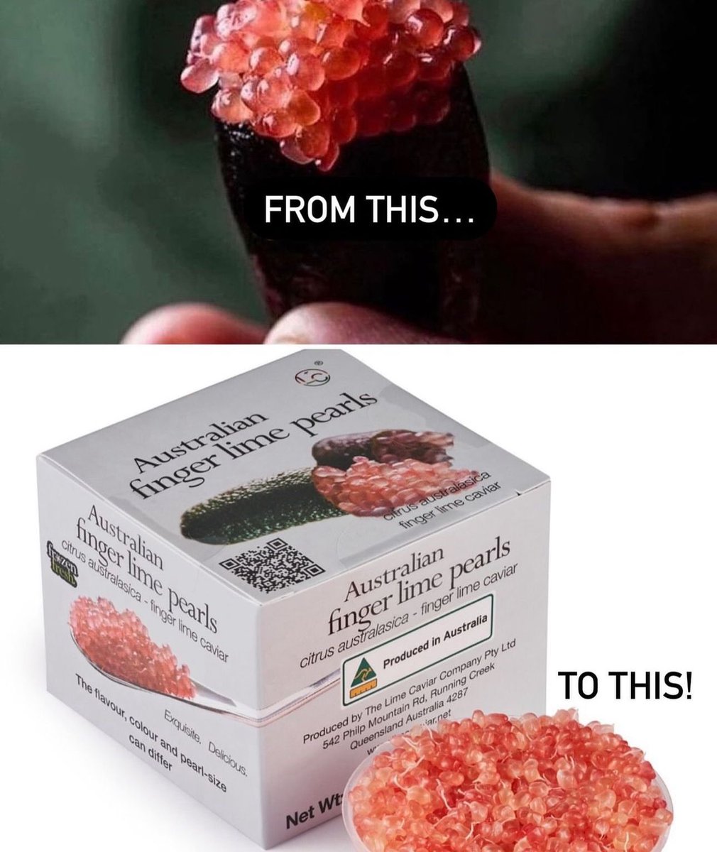 The Lime Caviar Company tweet media