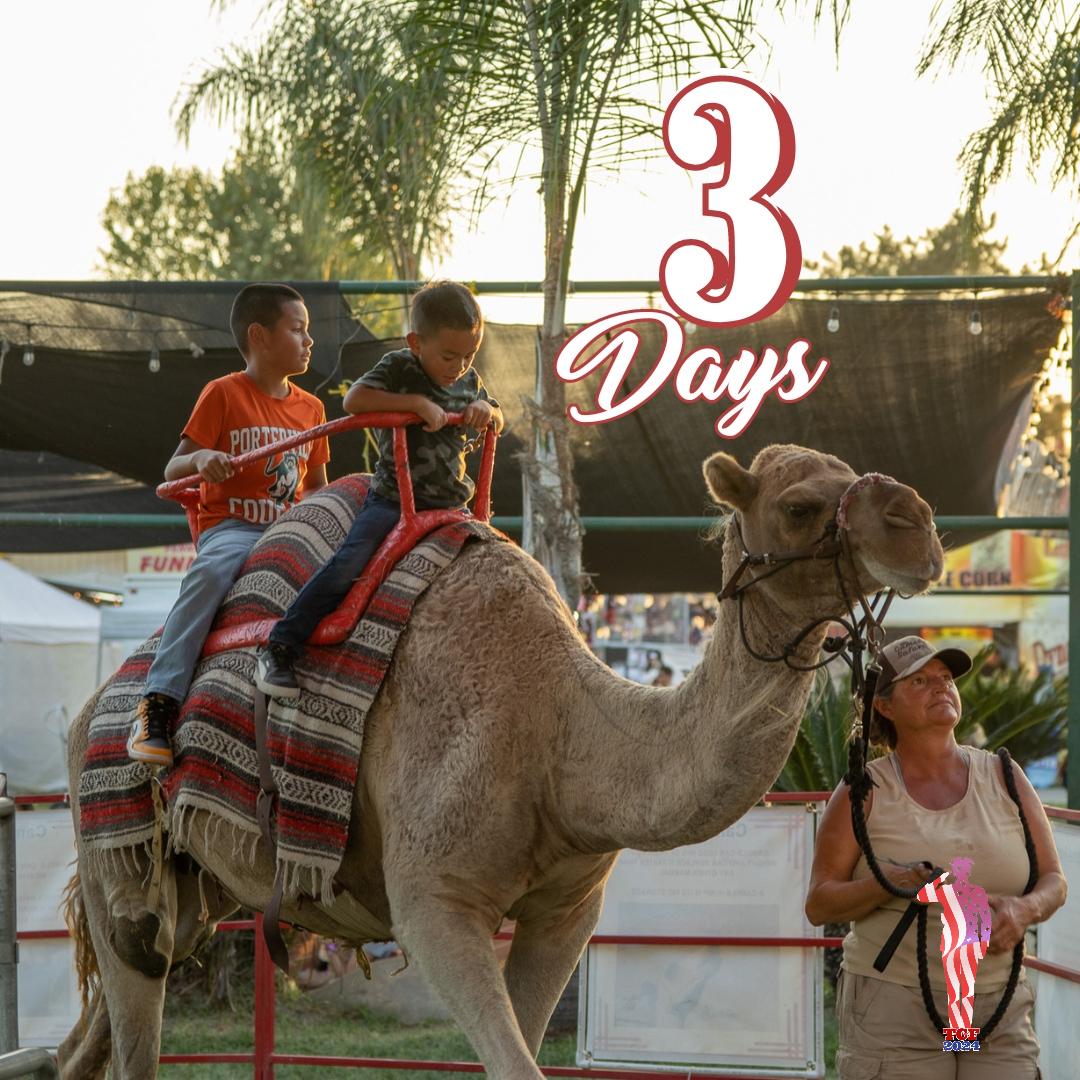 Just THREE sleeps 'til the opening of your 2024 Tulare County Fair!🤩
We can't WAIT to welcome you all through the gates on Wednesday!🥳
Remember, pre-sale admission tickets and carnival wristbands are only available until 11:59pm on September 10th, so ... tcfair.org/tickets
