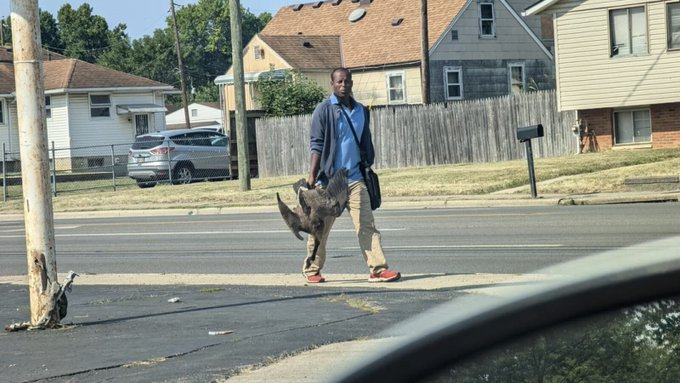 Texas4Trump_24's tweet photo. Open Borders: Ohio Residents Horrified After Spotting Missing Cat 'Hanging from a Branch, Being Carved Up for Food' by Haitian Migrants: Report 
https://t.co/CXVaroJjFM https://t.co/qmIF5tehCf