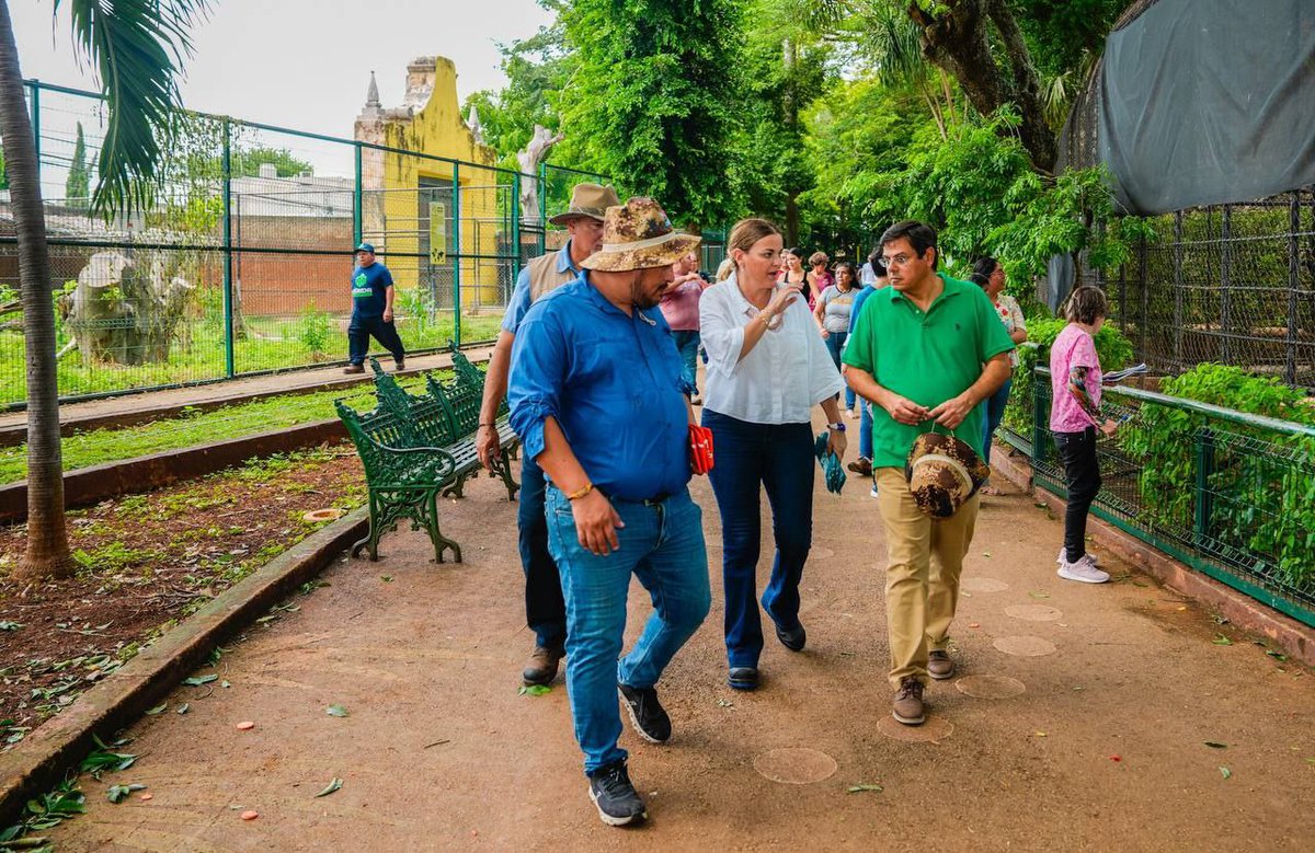 AyuntaMerida's tweet image. ¿Sabías qué el parque zoológico del Centenario pronto cumplirá 114 años? 

Por eso, hoy supervisamos que todas las áreas estén al 💯. Cuéntanos en comentarios qué actividades te gustaría realizar en su aniversario. 👇🏻 @CeciliaPatronL