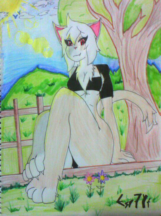 enchanteforest1's tweet photo. Xiba Día soleado https://t.co/mU3HmYR0SP