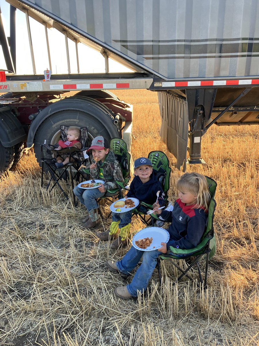 Christopher Noll tweet media