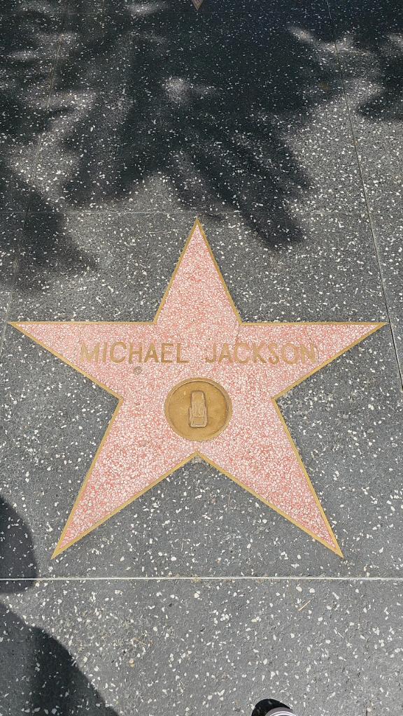 UW-River Falls Volleyball tweet media