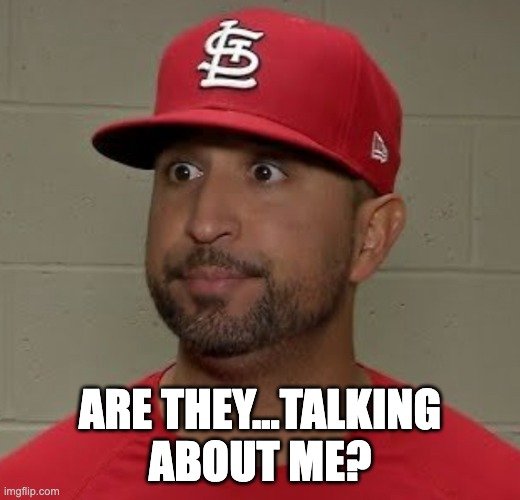 Cardinals Off Day tweet media