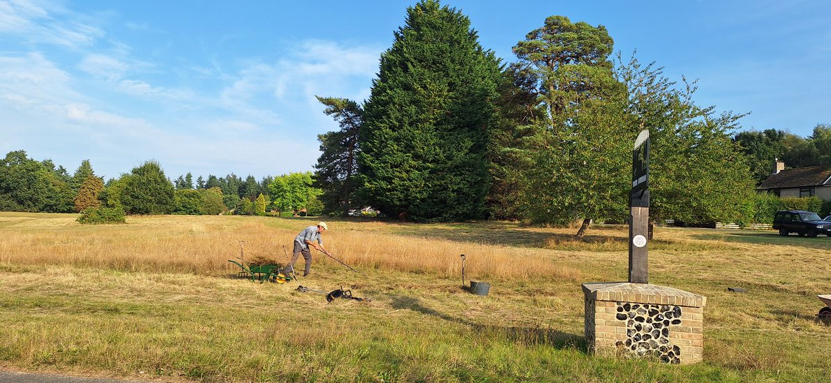 Started clearing some of the 'big' grass to make space for the lovely seed - gonna be a long job but loving seeing the seed bank from this year-s growth.   Onwards and upwards #santondownham #biodiversity
