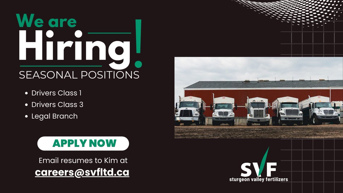 SVFltd's tweet photo. 🚛 **Now Hiring: Seasonal Drivers!** 🚛 Join Sturgeon Valley Fertilizers, Legal Branch for the fall harvest. We're seeking Class 1 &amp; 3 drivers. Ready to be part of a dynamic team? Send your resume to careers@svfltd.ca. Apply today! 🌾🚜 #Hiring #Drivers https://t.co/RCrwr8JgYB