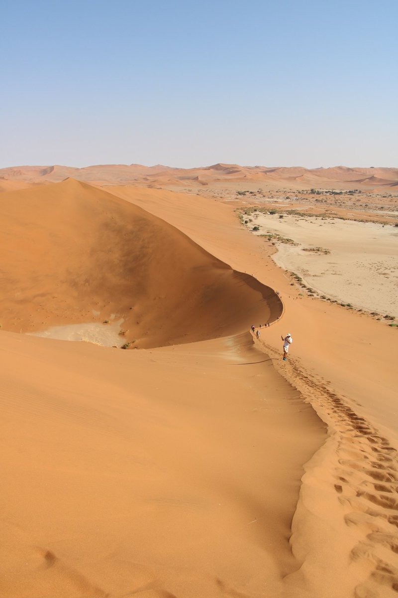 Jonathan Dando-Laing tweet media